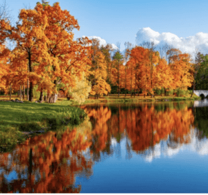 Fall Walk 2026